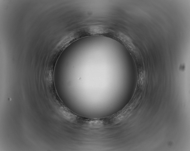 X0000097870426200803141302