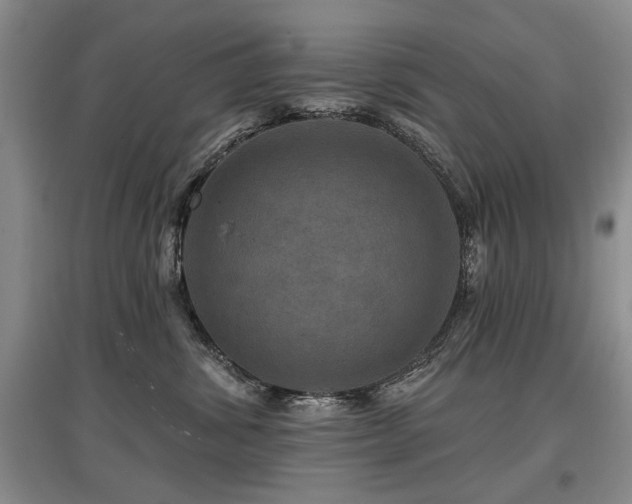 X0000097870428200803141302