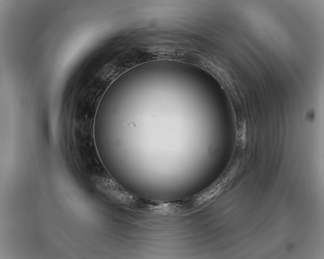 X0000097870430200803141302