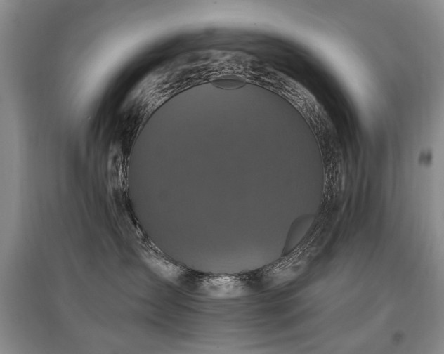 X0000097870431200803141302