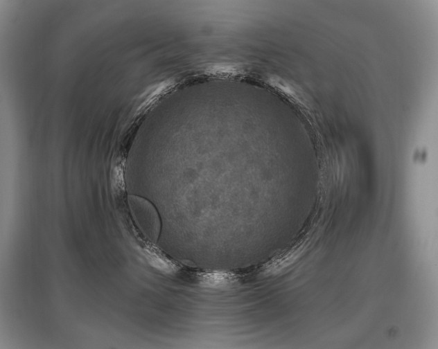 X0000097870432200803141302
