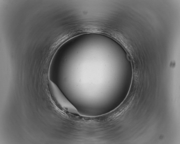 X0000097870433200803141301