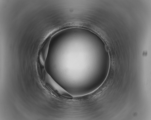 X0000097870434200803141301