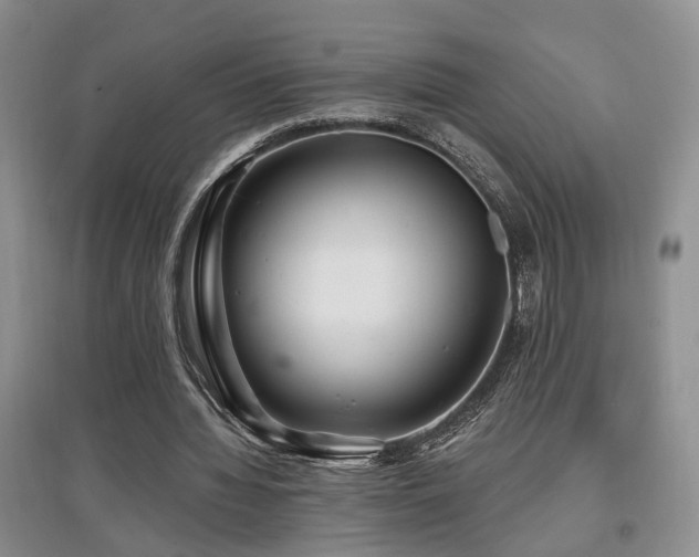 X0000097870436200803141301