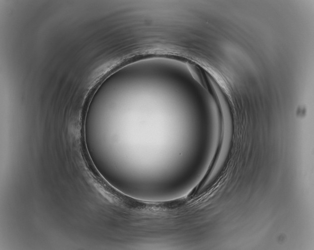 X0000097870437200803141301