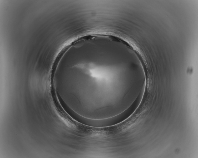 X0000097870438200803141301