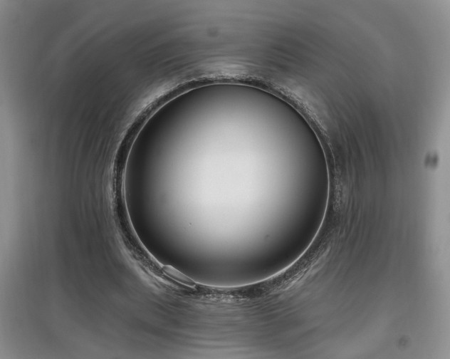 X0000097870439200803141301