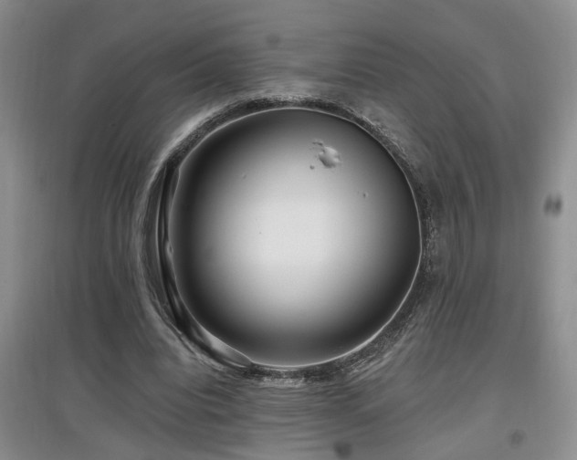 X0000097870440200803141301