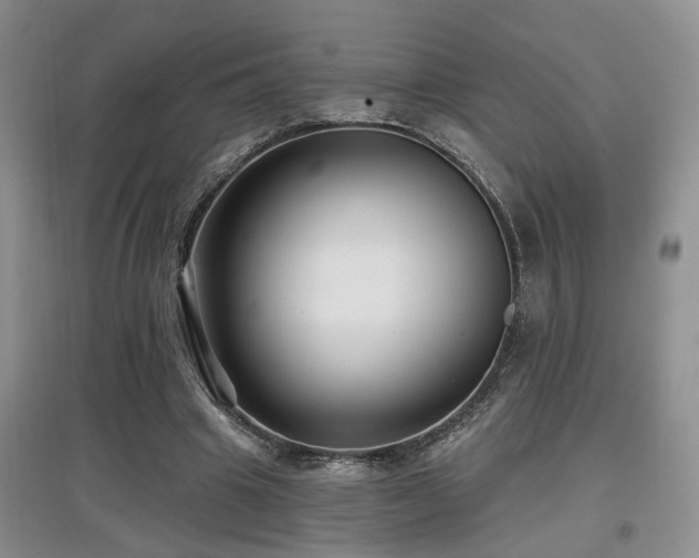 X0000097870441200803141301