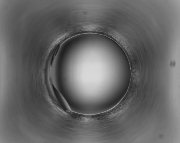 X0000097870442200803141301