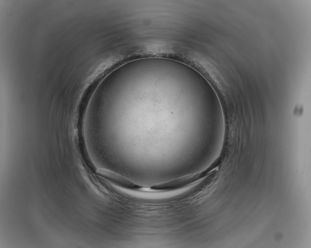 X0000097870443200803141301