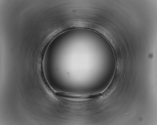 X0000097870445200803141301