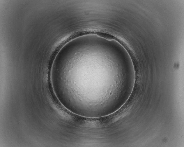 X0000097870446200803141301