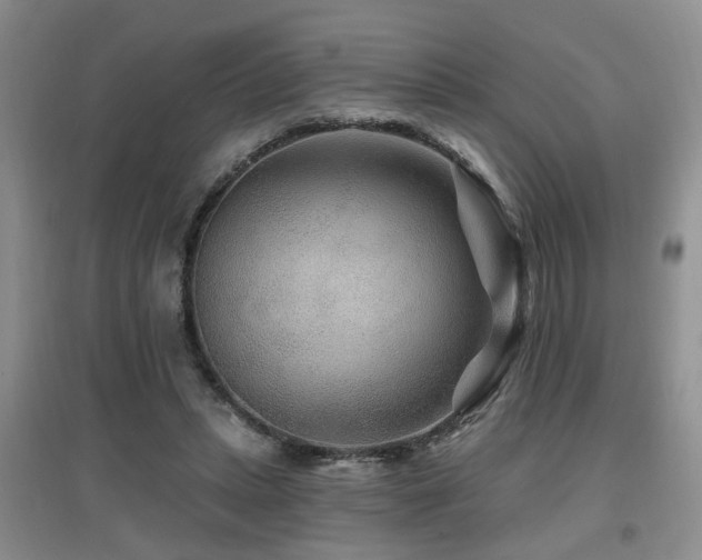 X0000097870447200803141301