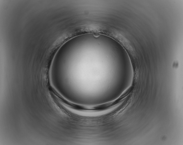 X0000097870449200803141301