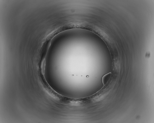 X0000097870450200803141301