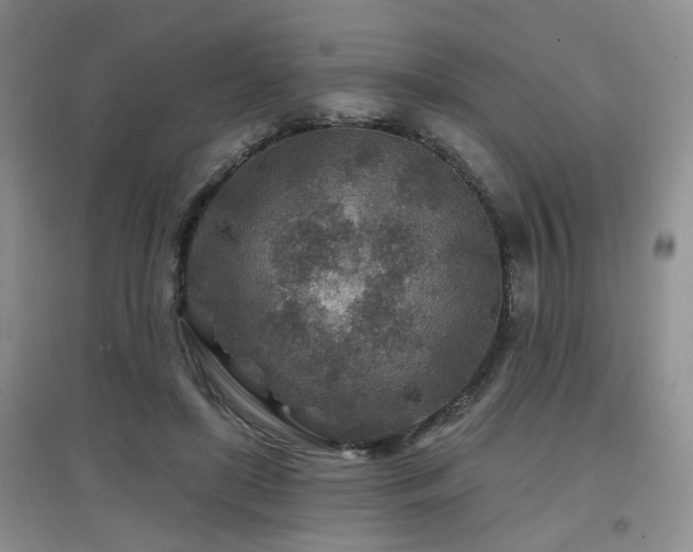 X0000097870451200803141301