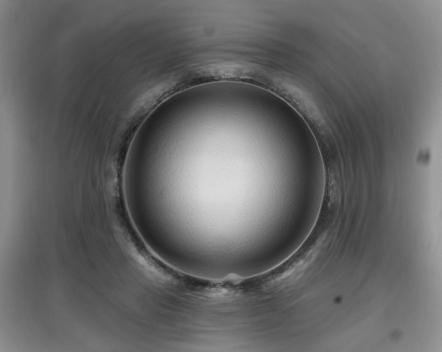 X0000097870453200803141301