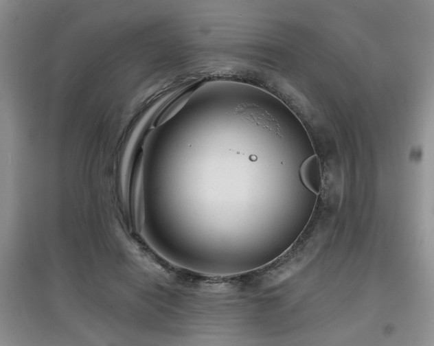 X0000097870454200803141301