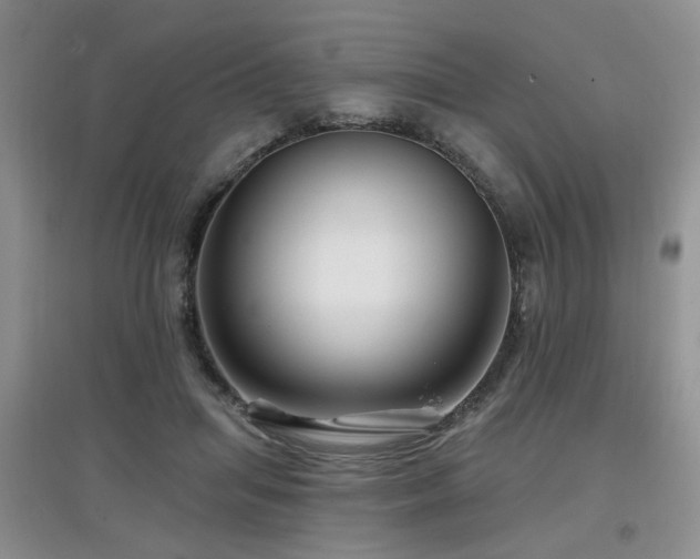X0000097870455200803141301