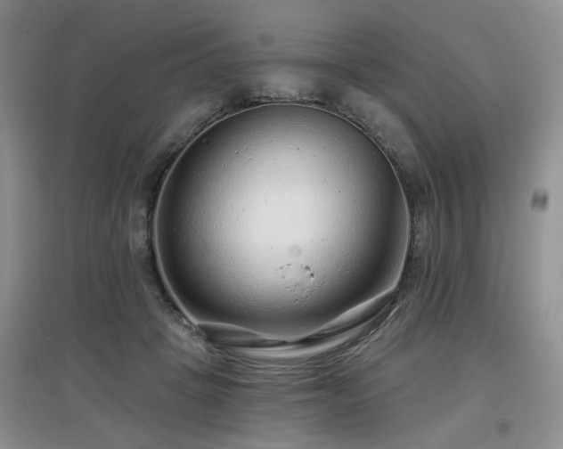 X0000097870457200803141301