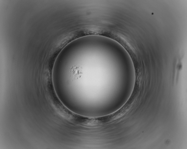 X0000097870459200803141301