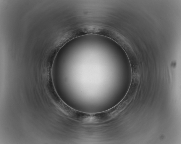 X0000097870460200803141301