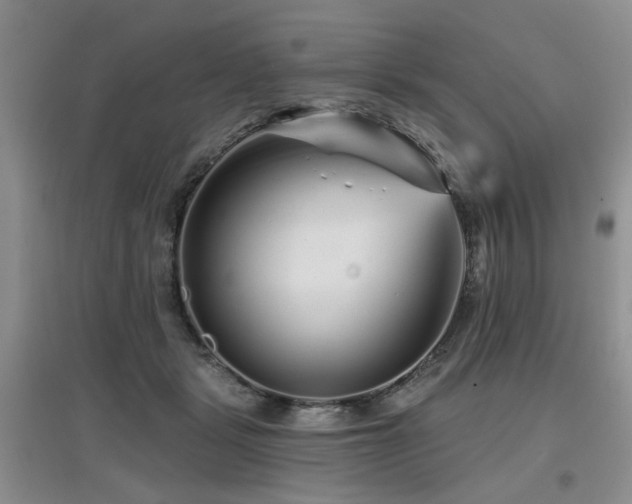 X0000097870461200803141301