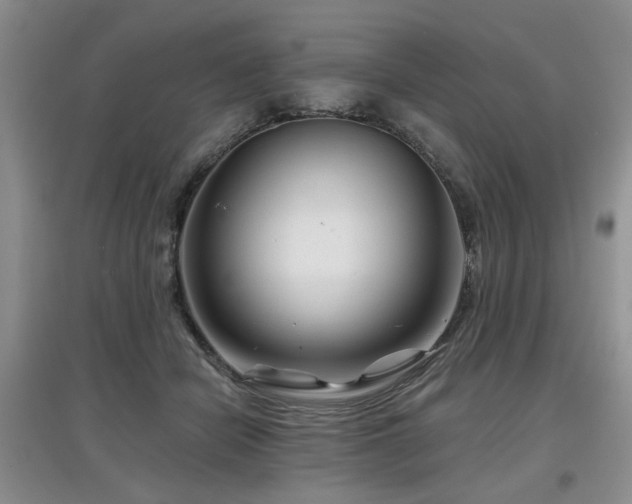 X0000097870462200803141301