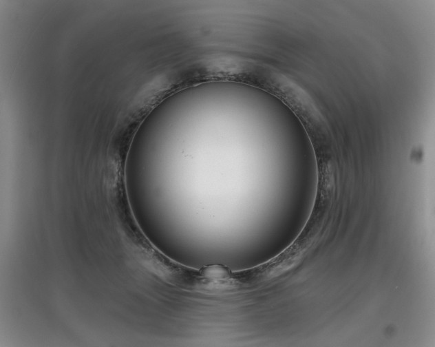 X0000097870463200803141302