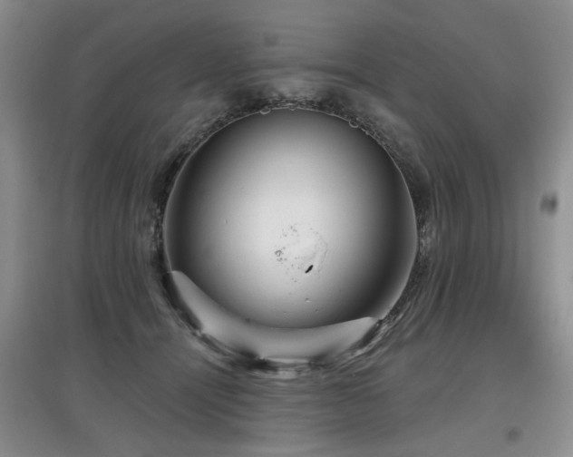 X0000097870464200803141302