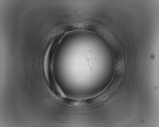X0000097870466200803141302