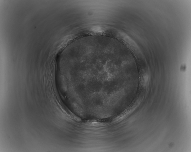 X0000097870467200803141302
