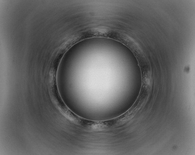X0000097870468200803141302