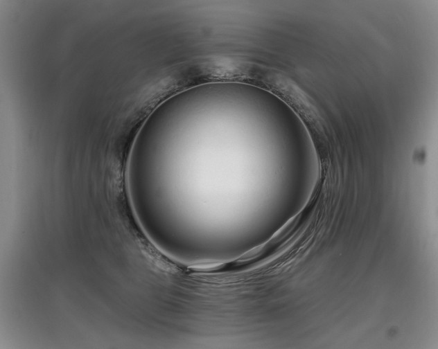X0000097870469200803141302