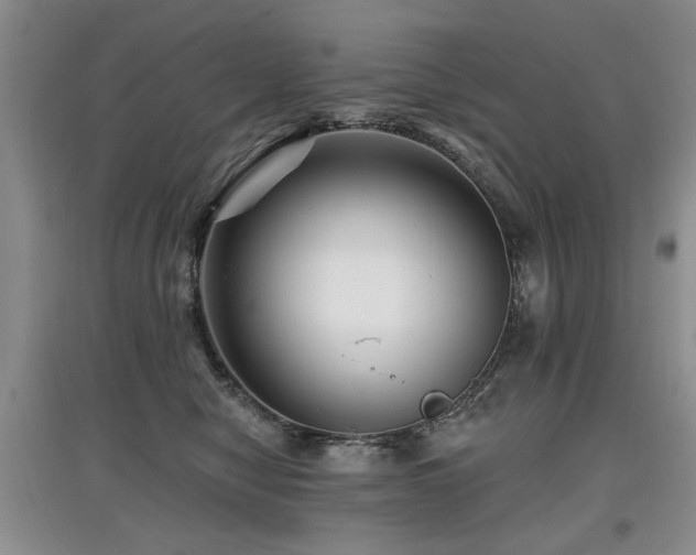 X0000097870470200803141302