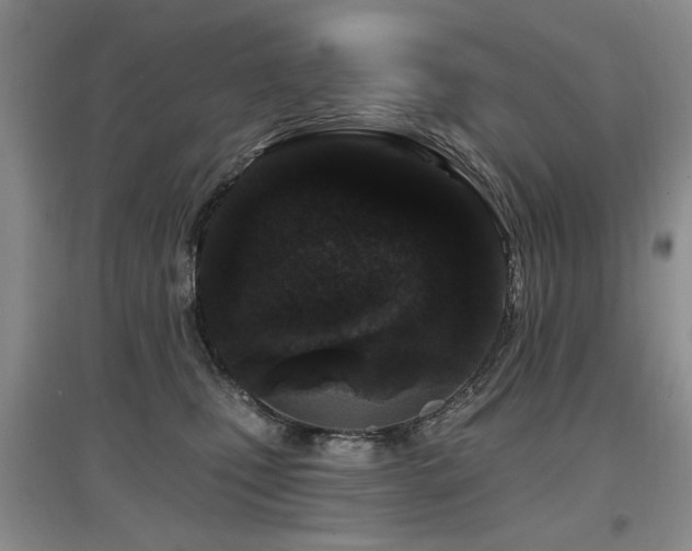 X0000097870471200803141302