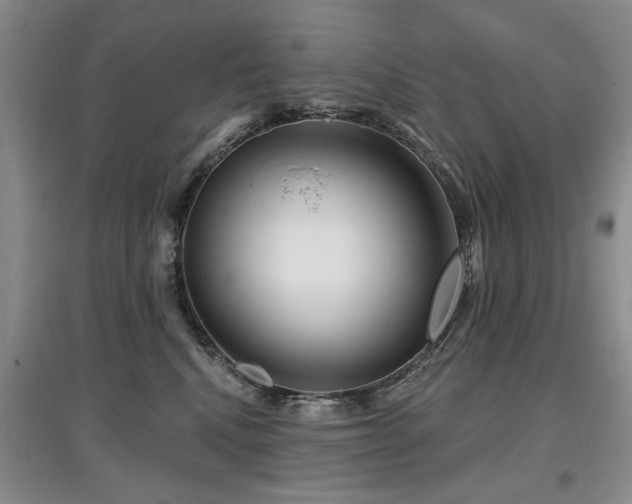 X0000097870472200803141302