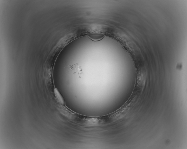 X0000097870473200803141302