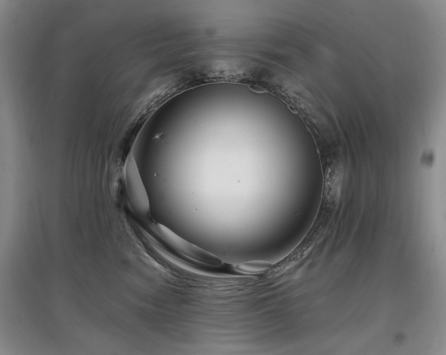 X0000097870474200803141302