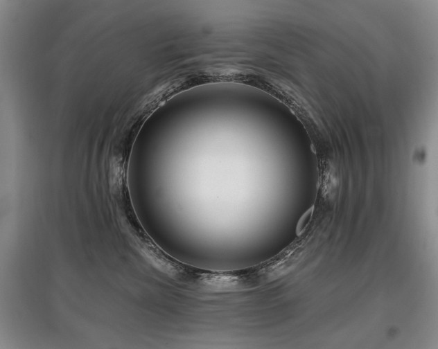 X0000097870476200803141302