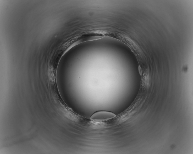 X0000097870477200803141302