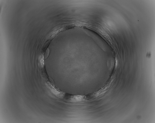 X0000097870479200803141302