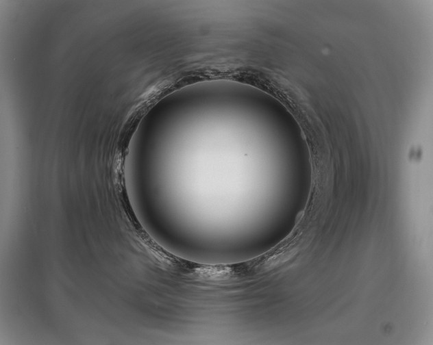 X0000097870480200803141302