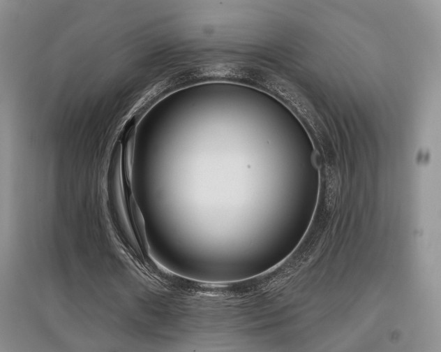 X0000097870482200803141301