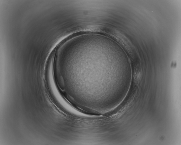 X0000097870484200803141301
