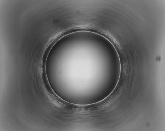 X0000097870486200803141301