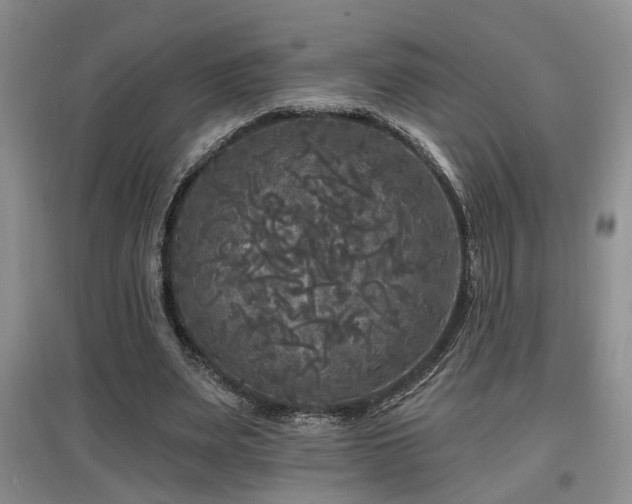 X0000097870487200803141301