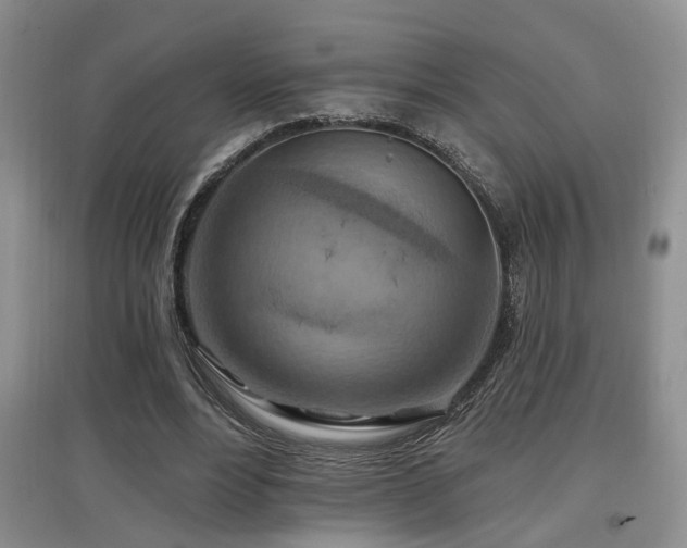 X0000097870488200803141301