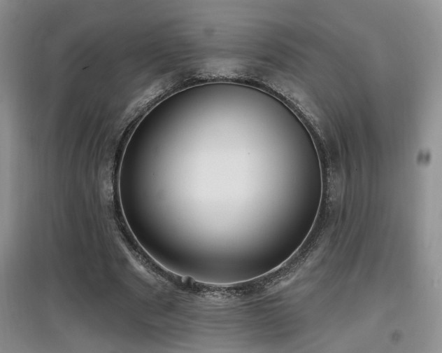 X0000097870489200803141301